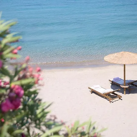 Elissa Adults-only Lifestyle