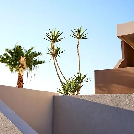 Elissa Lifestyle - Adults Only