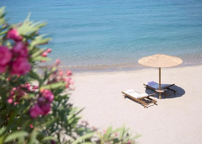 Ella Elissa - Adults Only